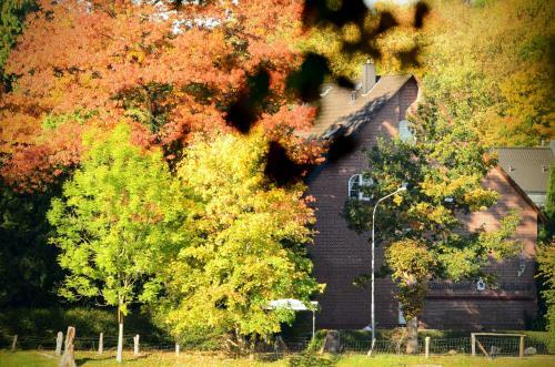 Hostal Waldhotel Twiehaus Garni