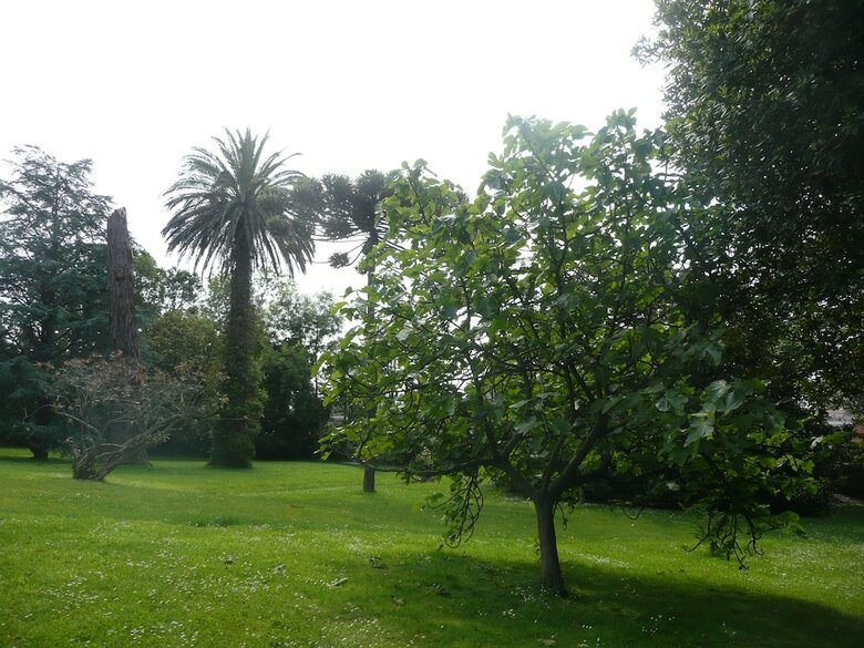 Hotel Escuela Las Carolinas