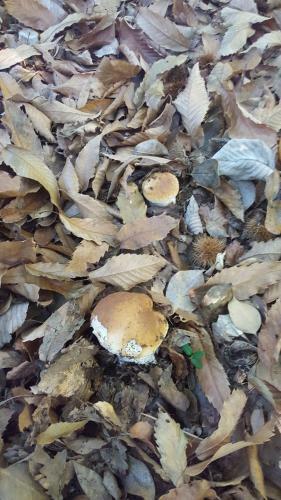 Apartamento La Mansardina