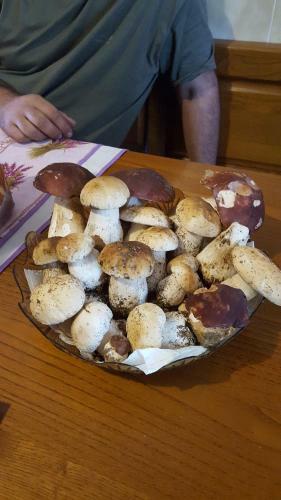 Apartamento La Mansardina