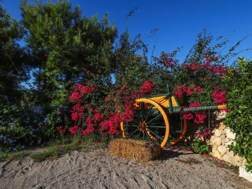 Apartamento Locazione Turistica Suite Spiaggia