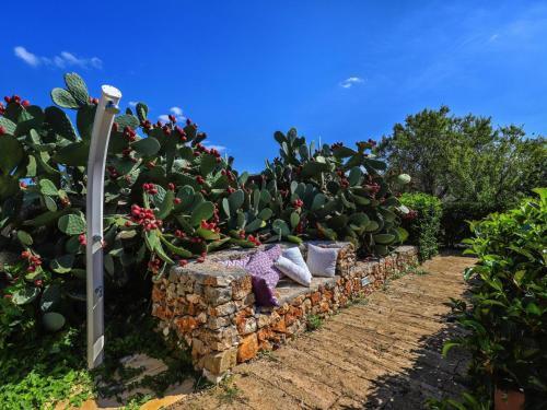 Apartamento Locazione Turistica Suite Spiaggia