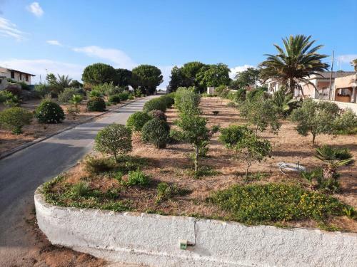 Bed & Breakfast Mediterraneo