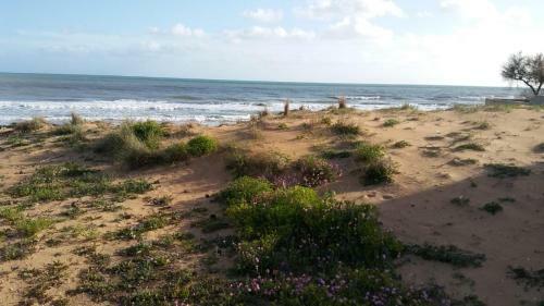 Bed & Breakfast Mediterraneo