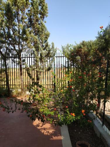 Puglia, Gargano,villa Indipendente Con Parcheggio.