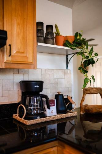Phoenix Bohemian Hideaway
