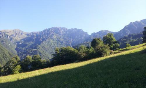 Agroturismo Agriturismo Piane