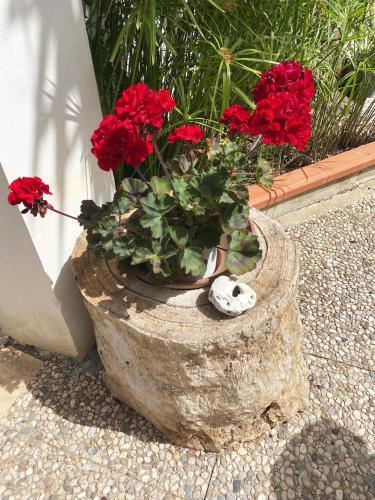 Villa Bonagia Cottage