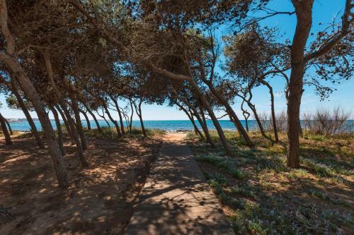 Apartamento Appartamento La Fenice