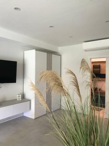 Apartamento Casa Mila Suite