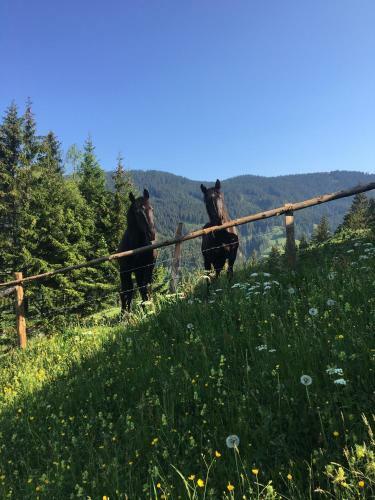 Apartamento Bio Bauernhof Oberbenk