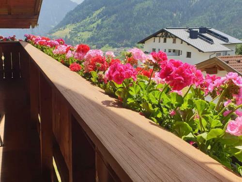 Apartamento Haus Anna Ein Haus Mit Herz