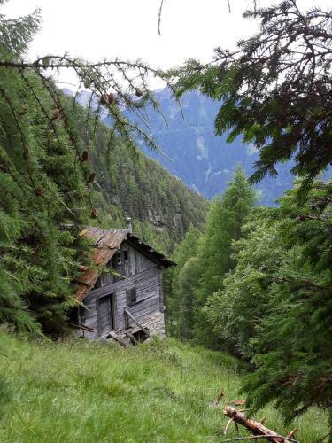 Apartamentos Appartement & Chalets Waldhof