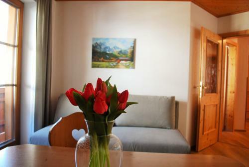Apartamento Filzmoos Appartements