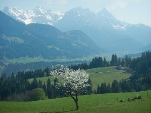 Apartamento Ferienwohnung B�rfeld