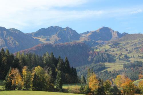 Apartamento Portrait Loft Tirol