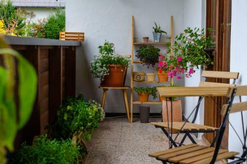 Apartamento Portrait Loft Tirol
