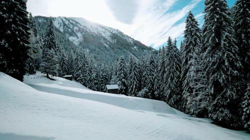 Apartamento Portrait Loft Tirol