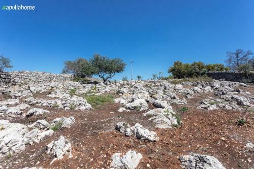 Apartamento I Trulli Di Emma