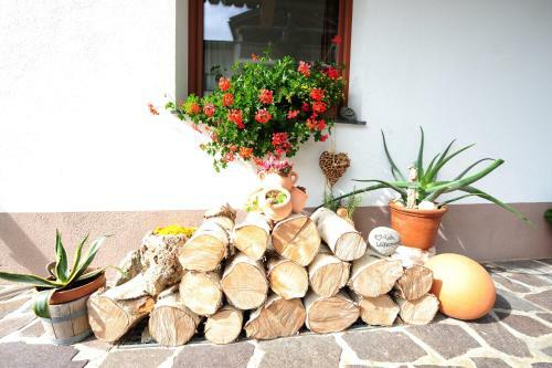 Apartamento Haus Brunnacker