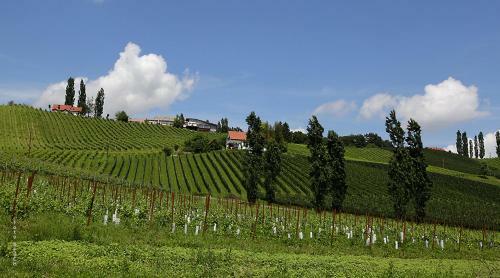 Apartamento Ferienwohnung Wruss