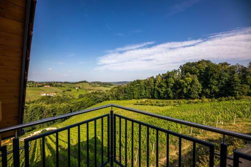 Apartamento Ferienwohnung Weingut Birnstingl