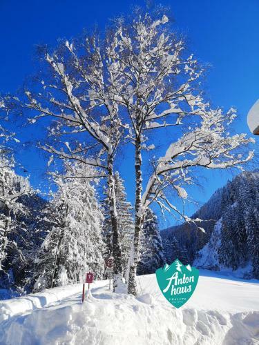 Apartamento Chalet Appartement Antonhaus