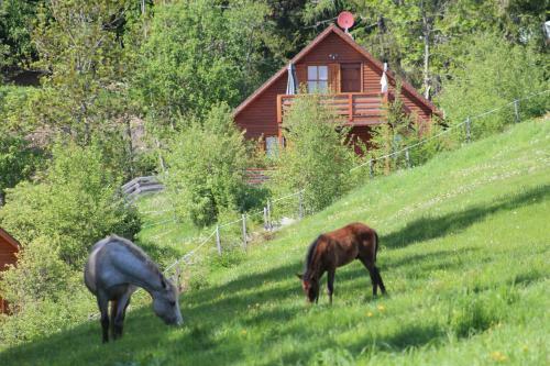 Apartamento Karawankenpanorama 1. Og
