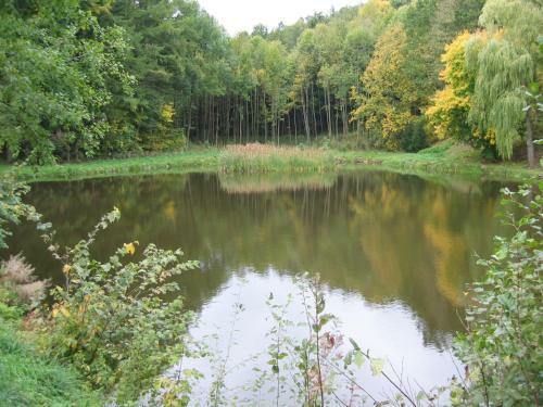 Apartamento Bauernhof Familie Tauber-scheidl