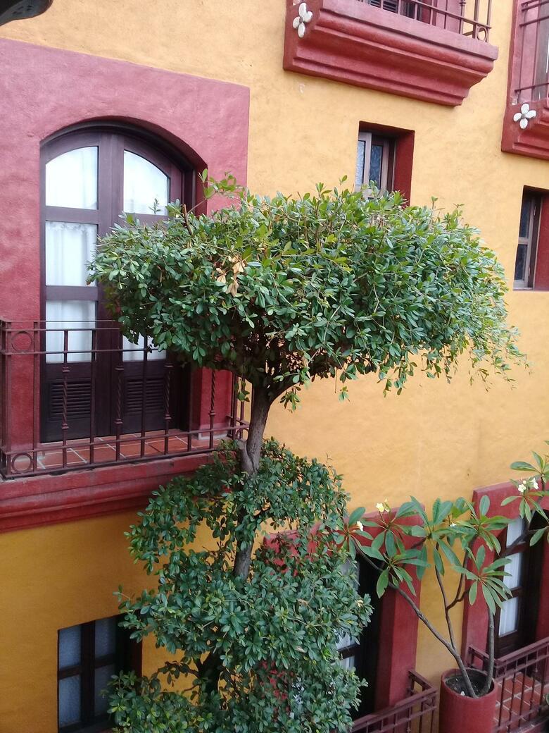 Hotel Casa Del S�tano