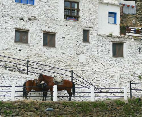 La Casa De La Bombilla Verde