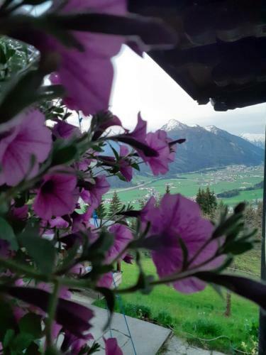 Ferienhaus Weitblick