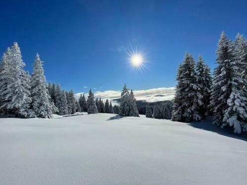 Apartments Im Almhaus Bachler