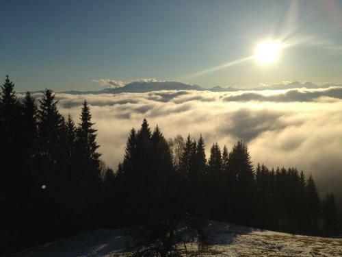 Apartments Im Almhaus Bachler
