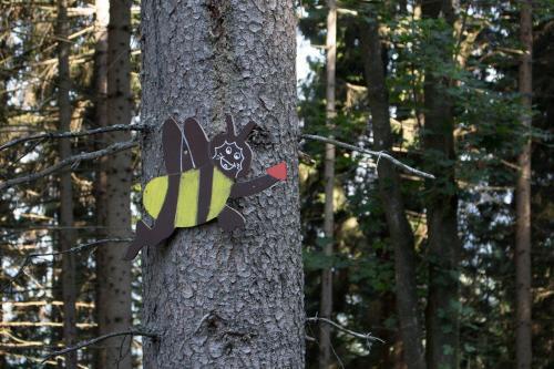 Apartments Im Almhaus Bachler