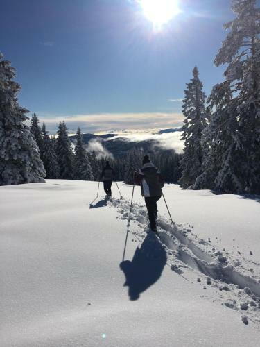 Apartments Im Almhaus Bachler