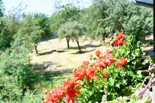 Apartamento Urlaub Am Haberlehof