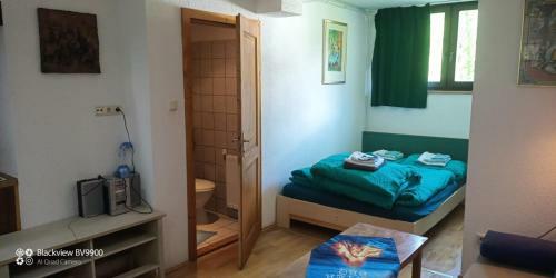 Apartamento Hinterrinnbach Appartments