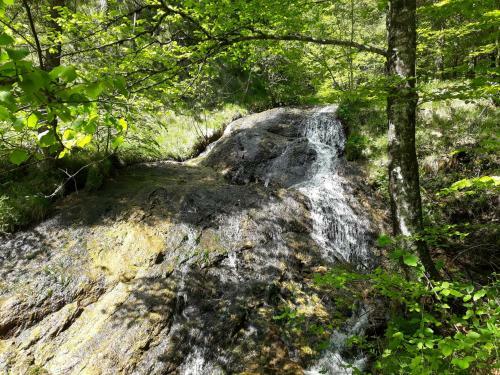 Apartamento Sportlerhof - Alimann Uab