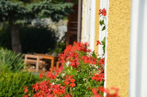 Hostal Lindenhof- Fam. Forstmayr