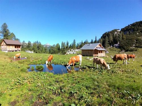Apartamento Ferienwohnungen Seraphine Und Theresia