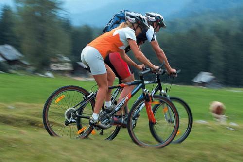 Apartamento Ferienwohnung Syen