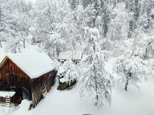 Apartamento Haus Annerl