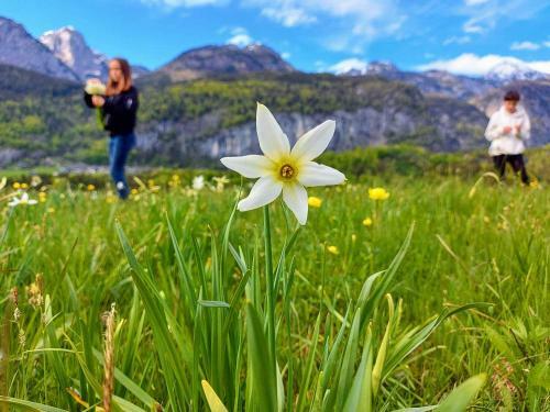 Apartamento Haus Annerl