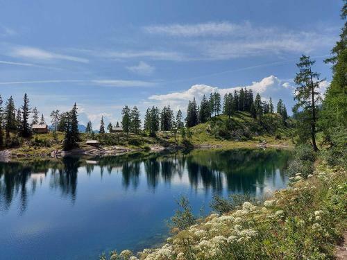 Apartamento Haus Annerl