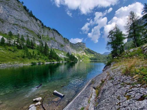 Apartamento Haus Annerl