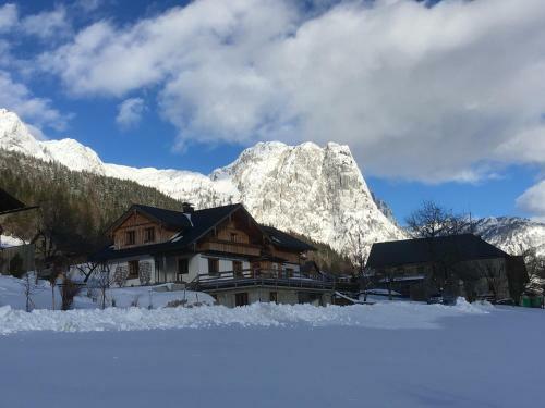 Apartments Fuchs