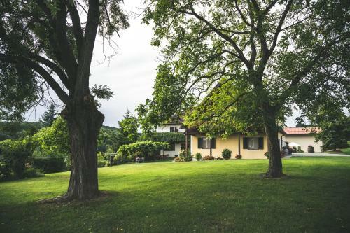 Bed & Breakfast Wein & G�stehof Erlacher