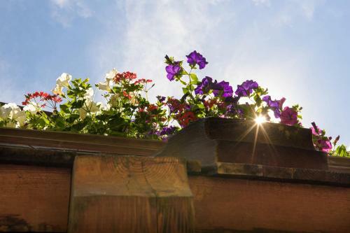 Apartamento Alpen-nest Gro�arl