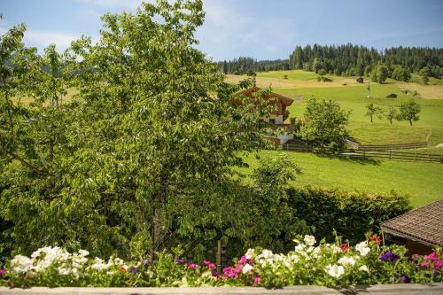 Apartamento Alpen-nest Gro�arl